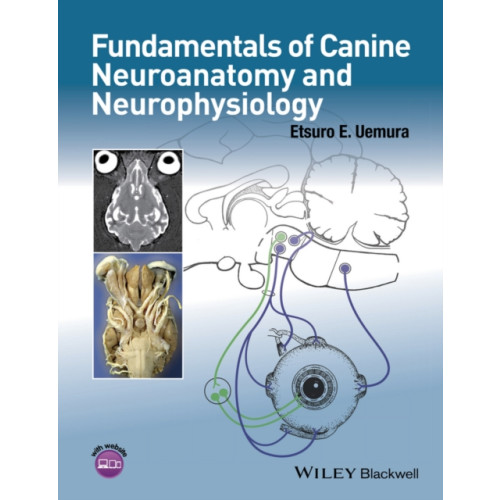 John Wiley And Sons Ltd Fundamentals of Canine Neuroanatomy and Neurophysiology (häftad, eng)