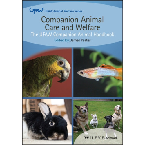 John Wiley And Sons Ltd Companion Animal Care and Welfare (häftad, eng)