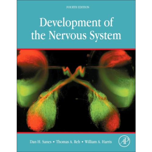 Elsevier Science Publishing Co Inc Development of the Nervous System (inbunden, eng)