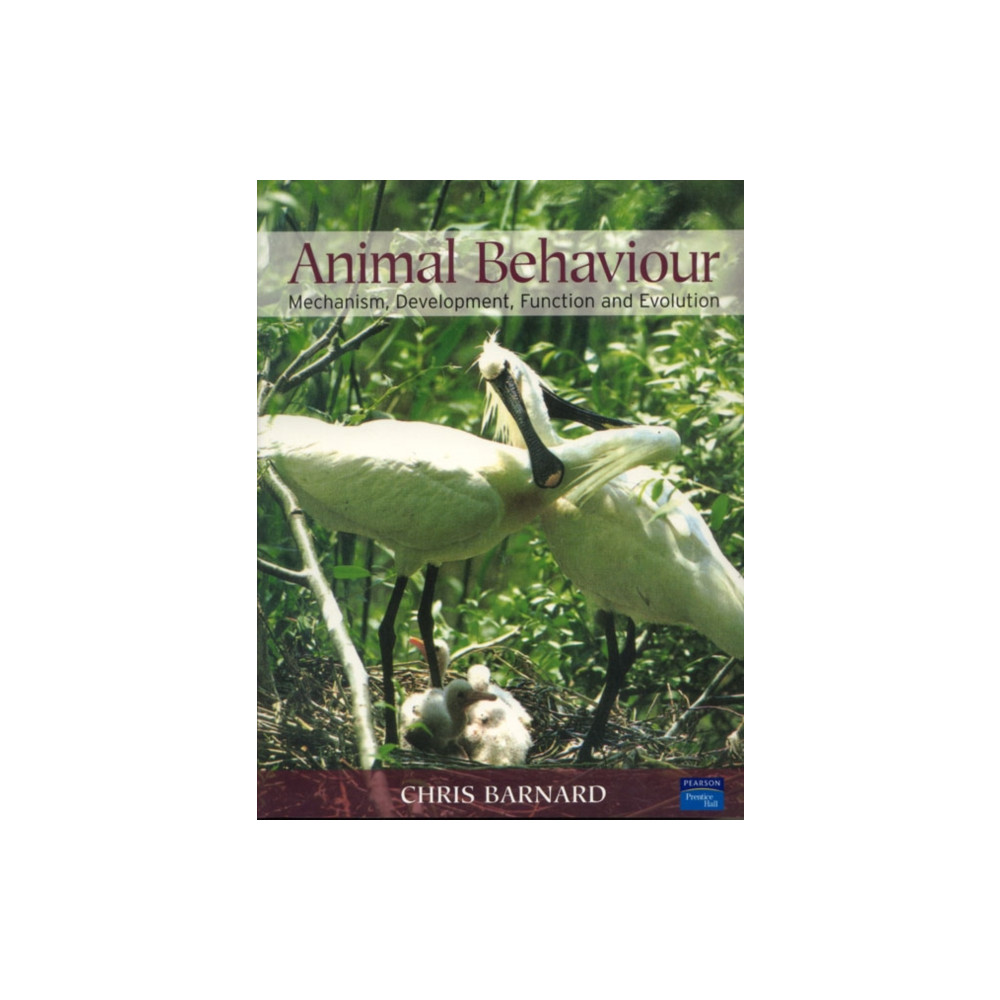 Produktbild för Animal Behaviour (häftad, eng)