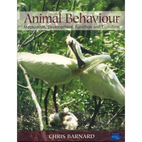 Pearson Education (US) Animal Behaviour (häftad, eng)