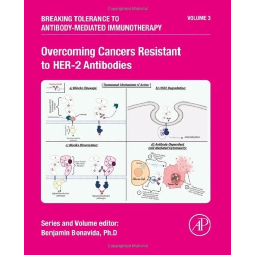 Elsevier Science Publishing Co Inc Overcoming Cancers Resistant to HER-2 Antibodies (inbunden, eng)