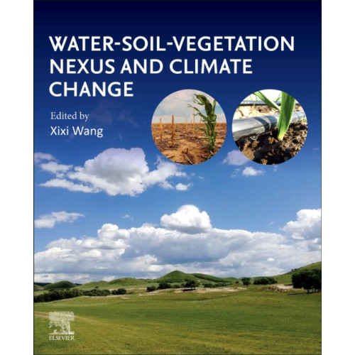 Elsevier Science Publishing Co Inc Water-Soil-Vegetation Nexus and Climate Change (häftad, eng)