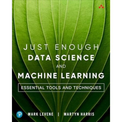 Pearson Education (US) Just Enough Data Science and Machine Learning (häftad, eng)