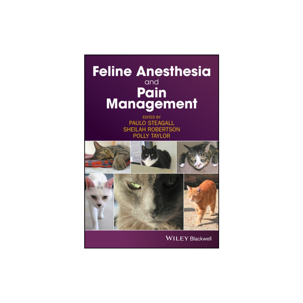 Produktbild för Feline Anesthesia and Pain Management (häftad, eng)