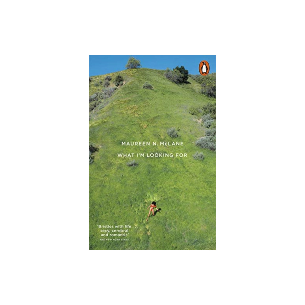 Produktbild för What I'm Looking For (häftad, eng)