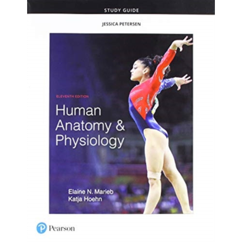 Pearson Education (US) Study Guide for Human Anatomy & Physiology (häftad, eng)