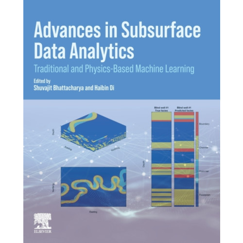 Elsevier Science Publishing Co Inc Advances in Subsurface Data Analytics (häftad, eng)