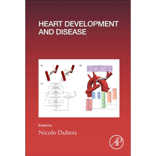 Elsevier Science Publishing Co Inc Heart Development and Disease (inbunden, eng)