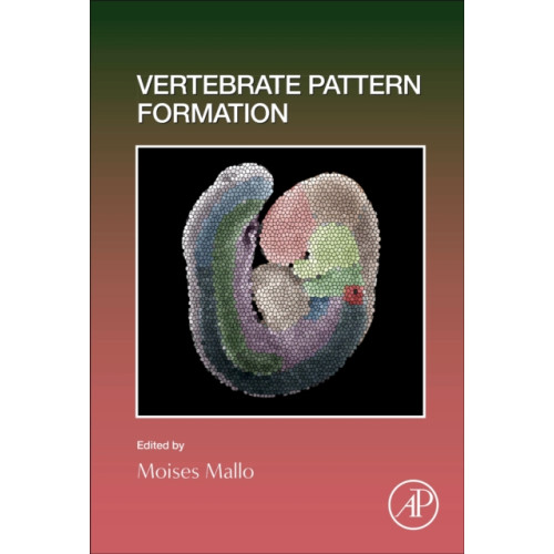 Elsevier Science Publishing Co Inc Vertebrate Pattern Formation (inbunden, eng)