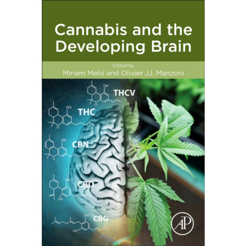 Elsevier Science Publishing Co Inc Cannabis and the Developing Brain (häftad, eng)