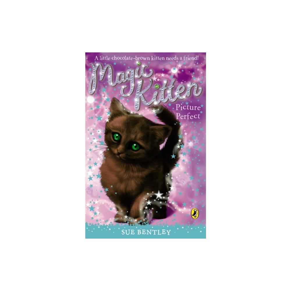 Produktbild för Magic Kitten: Picture Perfect (häftad, eng)