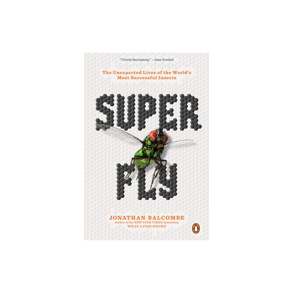 Produktbild för Super Fly (häftad, eng)