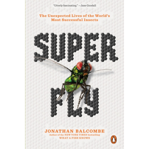 Penguin Putnam Inc Super Fly (häftad, eng)