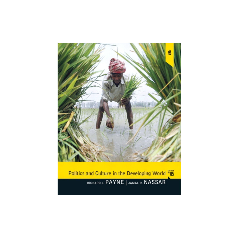 Produktbild för Politics and Culture in the Developing World (häftad, eng)