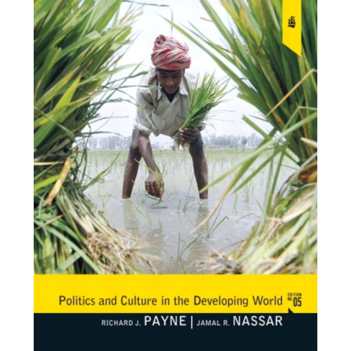 Taylor & francis inc Politics and Culture in the Developing World (häftad, eng)