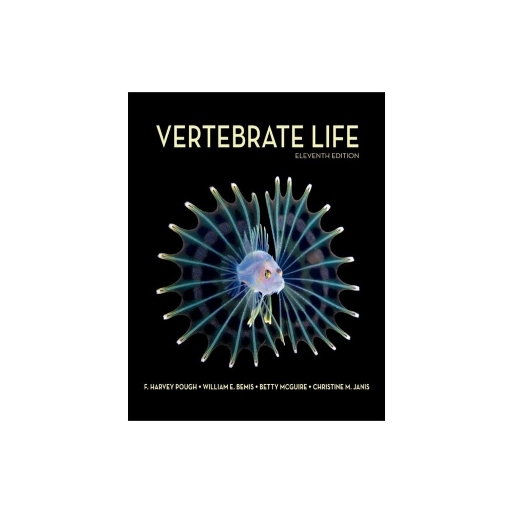 Produktbild för Vertebrate Life (häftad, eng)