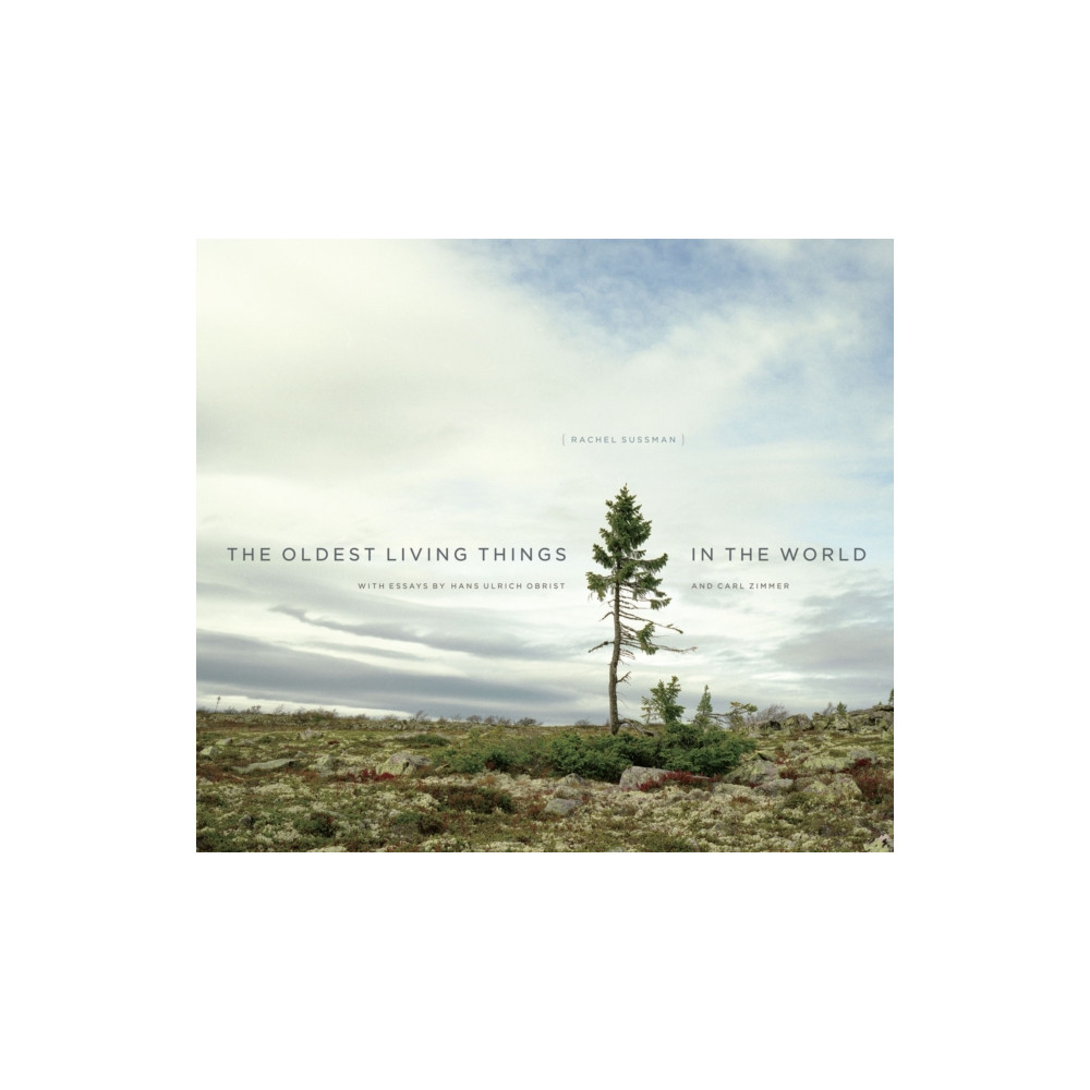 Produktbild för The Oldest Living Things in the World (inbunden, eng)