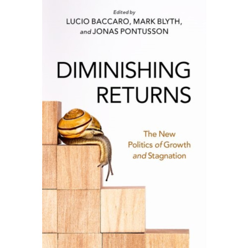 Oxford University Press Inc Diminishing Returns (häftad, eng)