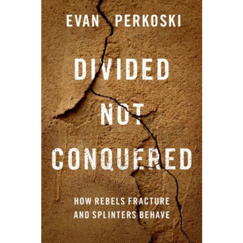 Oxford University Press Inc Divided Not Conquered (inbunden, eng)