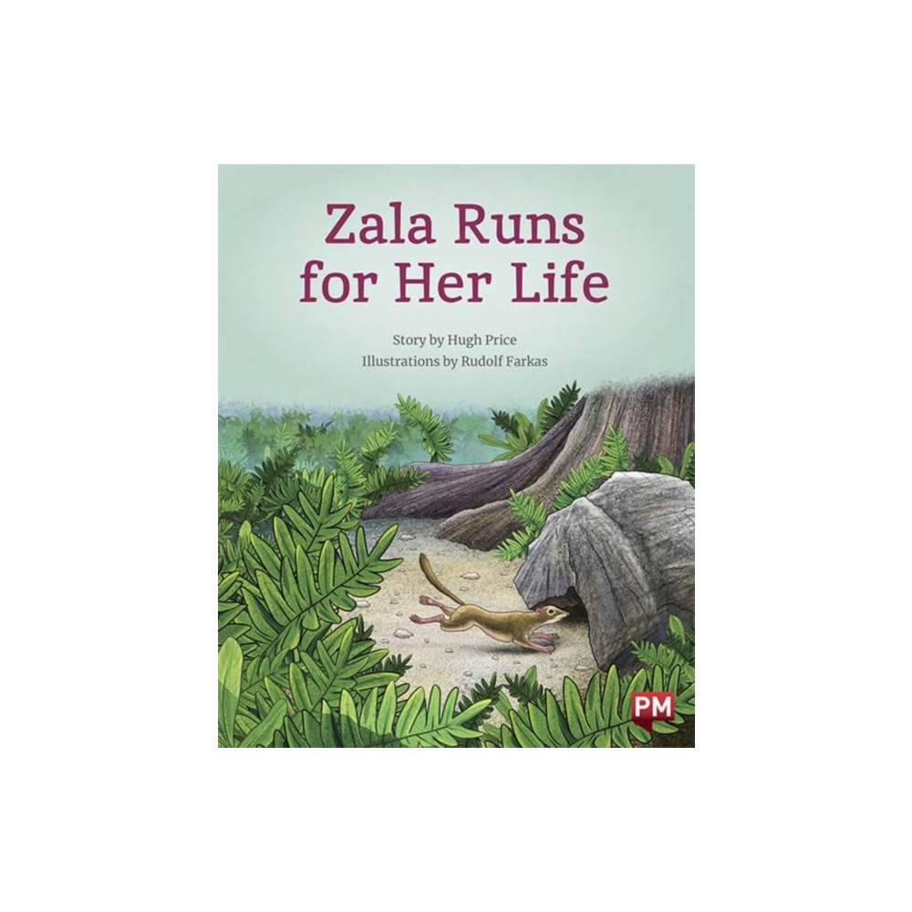 Produktbild för ZALA RUNS FOR HER LIFE (häftad, eng)