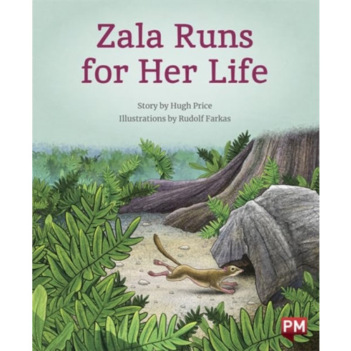SCHOLASTIC LTD ZALA RUNS FOR HER LIFE (häftad, eng)
