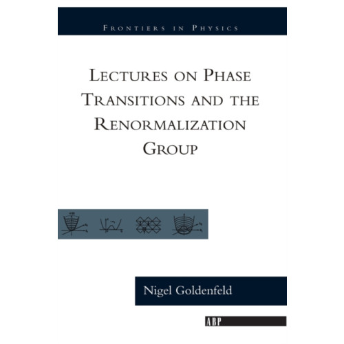 Taylor & francis inc Lectures On Phase Transitions And The Renormalization Group (häftad, eng)