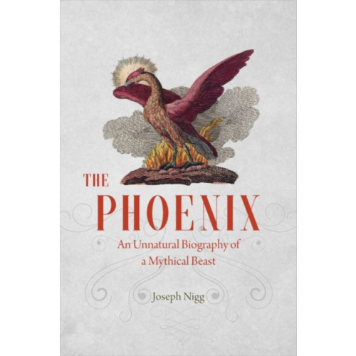 The university of chicago press The Phoenix (inbunden, eng)