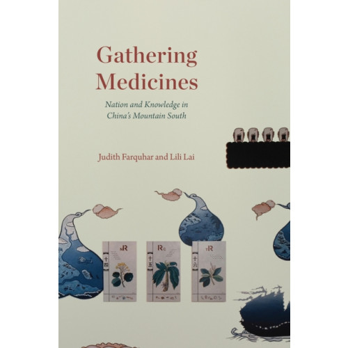 The university of chicago press Gathering Medicines (häftad, eng)