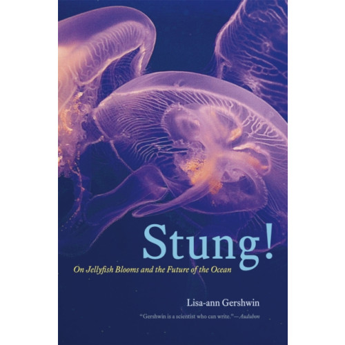 The university of chicago press Stung! (häftad, eng)