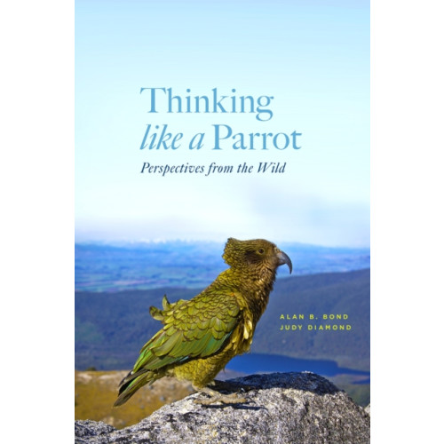 The university of chicago press Thinking Like a Parrot (inbunden, eng)