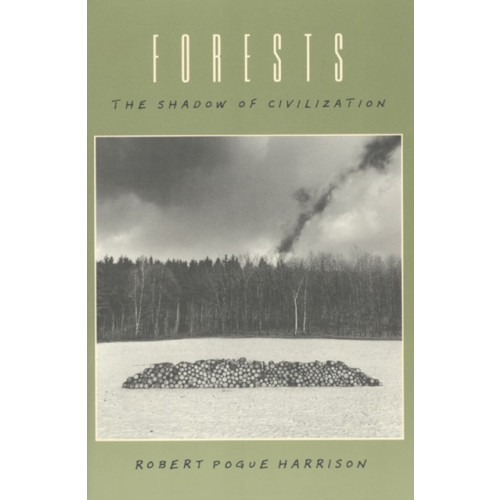 The university of chicago press Forests (häftad, eng)