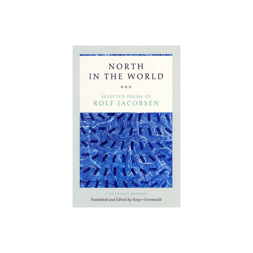 Produktbild för North in the World (häftad, eng)