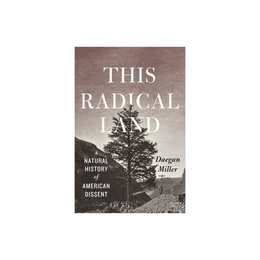 Produktbild för This Radical Land (häftad, eng)