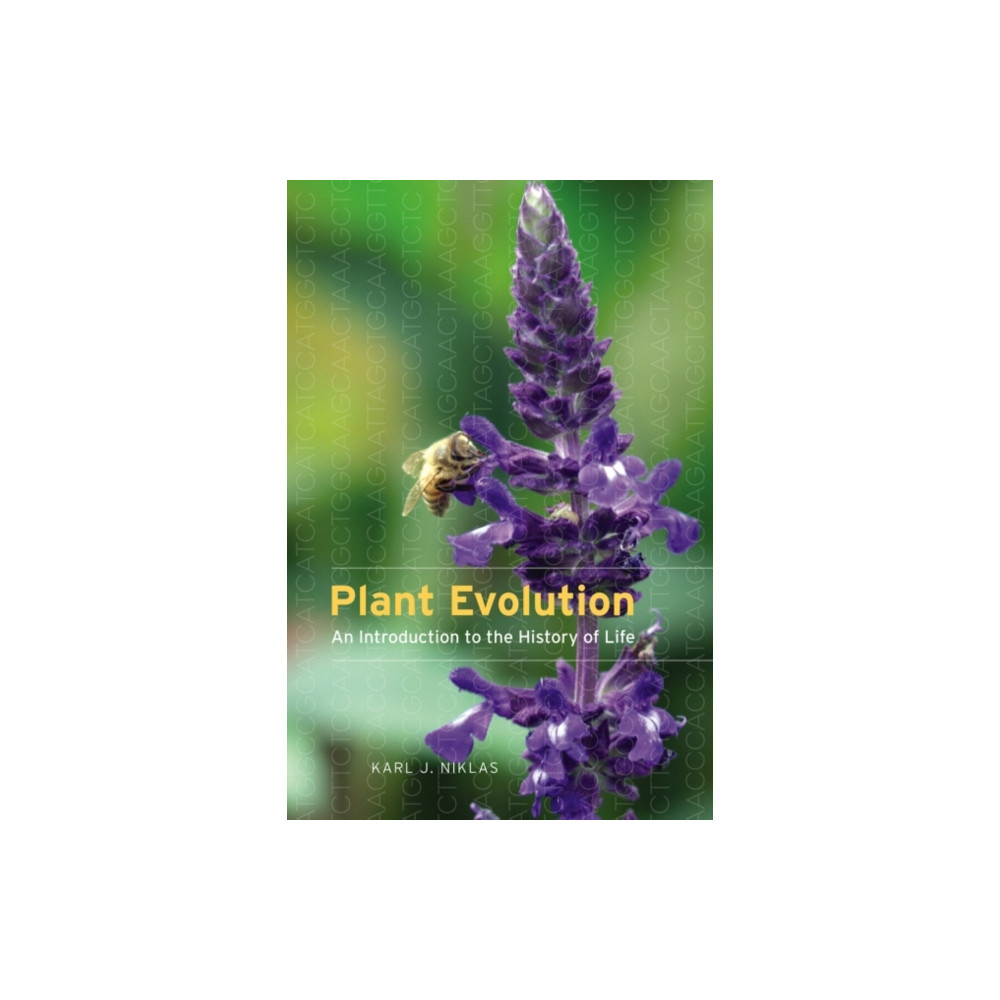 Produktbild för Plant Evolution (häftad, eng)