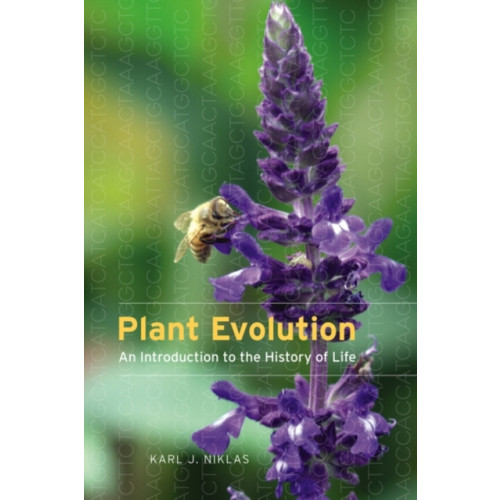 The university of chicago press Plant Evolution (häftad, eng)