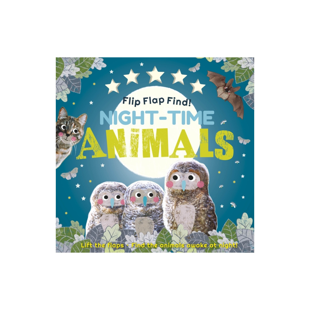 Produktbild för Flip Flap Find! Night-time Animals (bok, board book, eng)