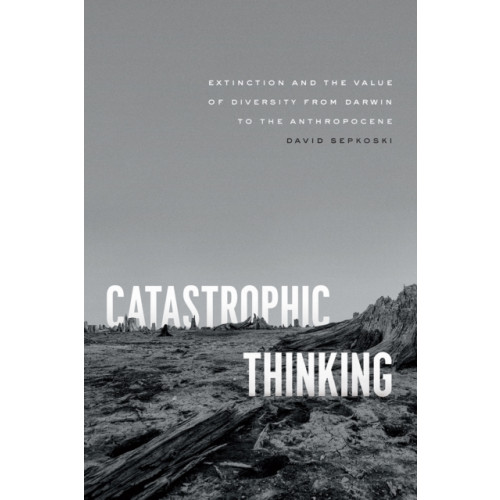 The university of chicago press Catastrophic Thinking (inbunden, eng)