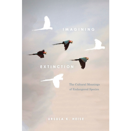 The university of chicago press Imagining Extinction (häftad, eng)