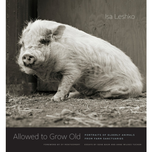 The university of chicago press Allowed to Grow Old (inbunden, eng)