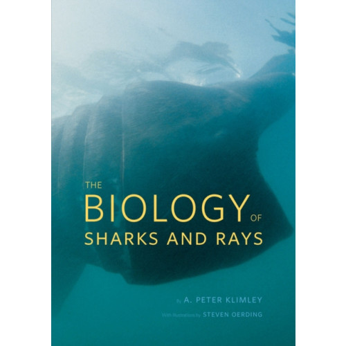 The university of chicago press The Biology of Sharks and Rays (inbunden, eng)