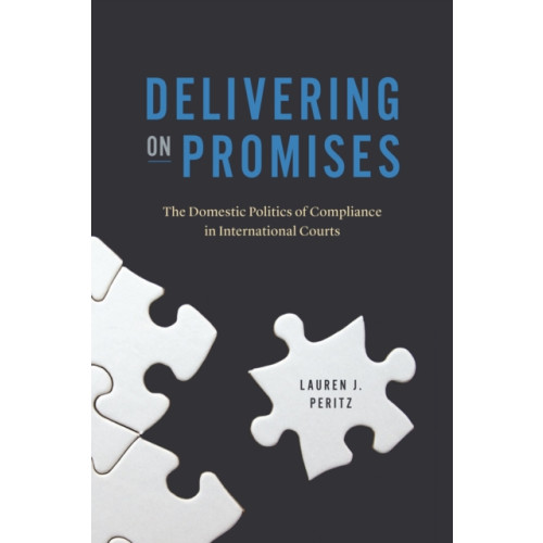 The university of chicago press Delivering on Promises (häftad, eng)