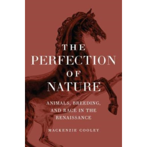 The university of chicago press The Perfection of Nature (häftad, eng)