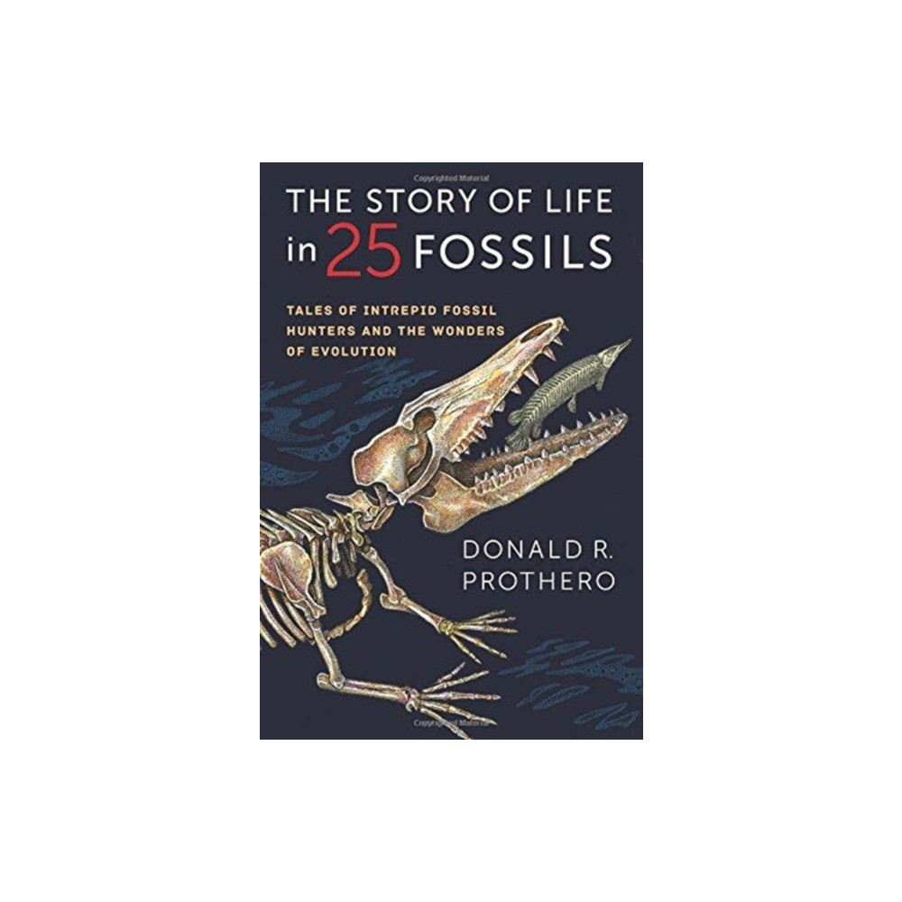Produktbild för The Story of Life in 25 Fossils (häftad, eng)