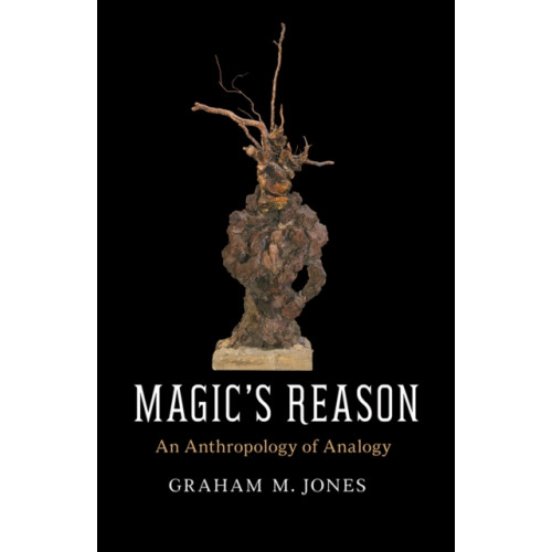 The university of chicago press Magic's Reason (häftad, eng)