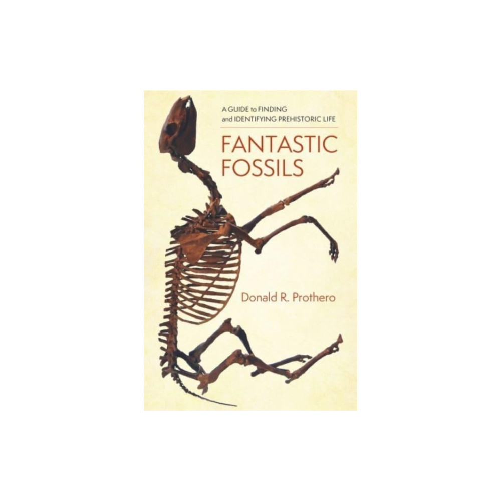 Produktbild för Fantastic Fossils (häftad, eng)