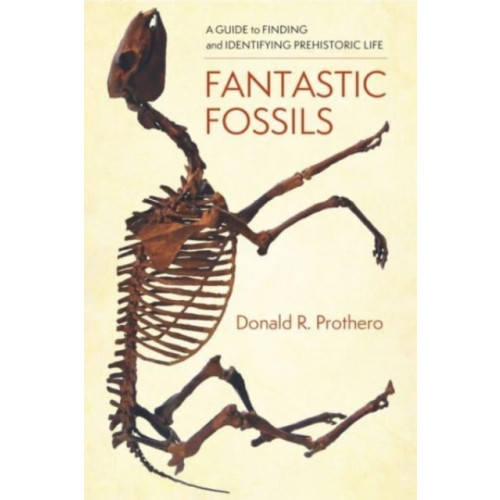 Columbia university press Fantastic Fossils (häftad, eng)