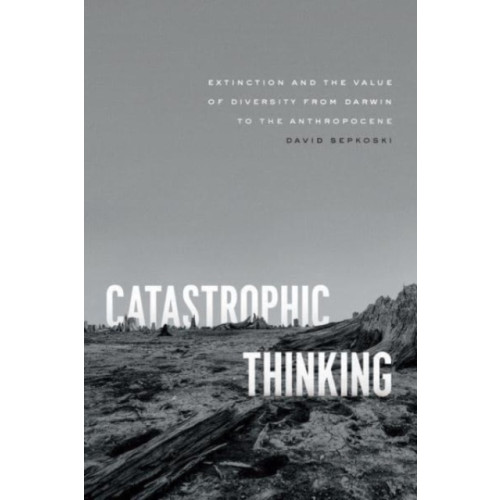 The university of chicago press Catastrophic Thinking (häftad, eng)