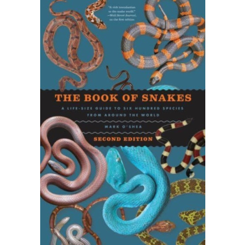 The university of chicago press The Book of Snakes (inbunden, eng)