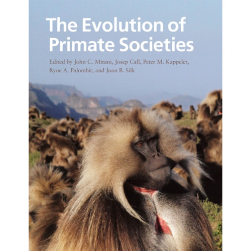 The university of chicago press The Evolution of Primate Societies (häftad, eng)